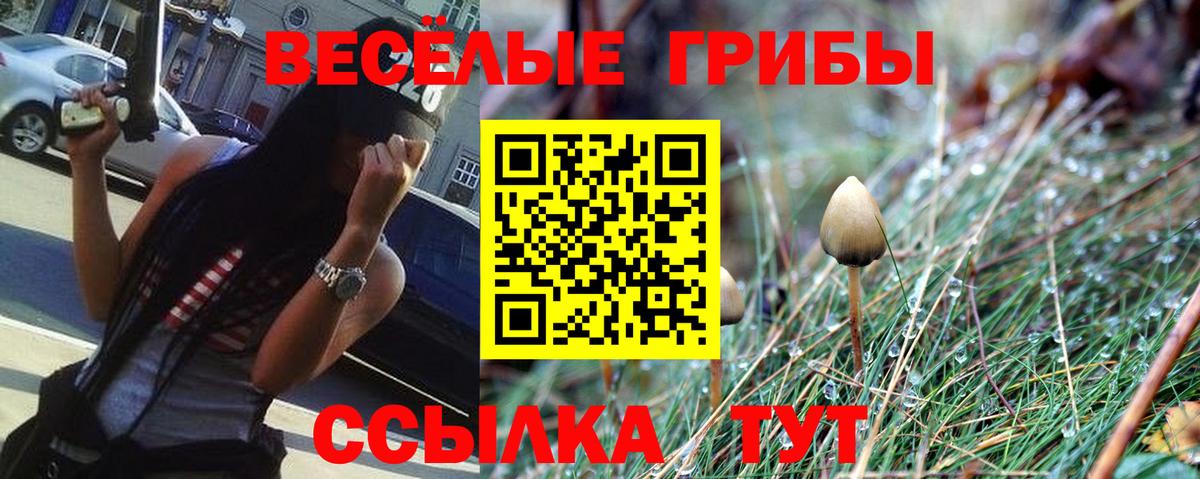 Псилоцибиновые грибы мицелий Урюпинск