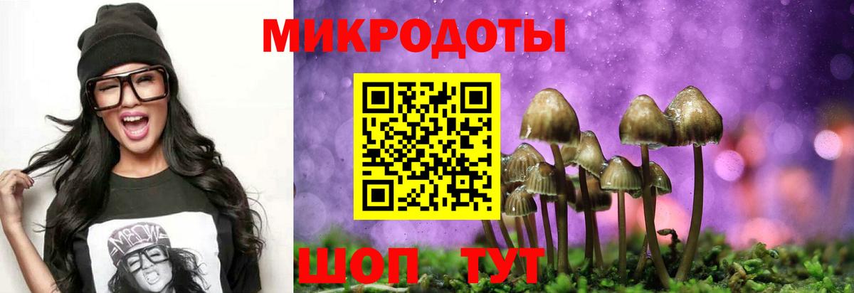 Галлюциногенные грибы GOLDEN TEACHER  магазин  наркотиков  Урюпинск  Вход с VPN 